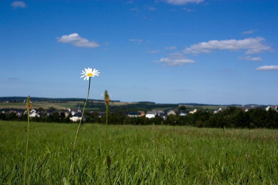 Studiohaus Haus Roswitha Geisfeld  Екстер'єр фото